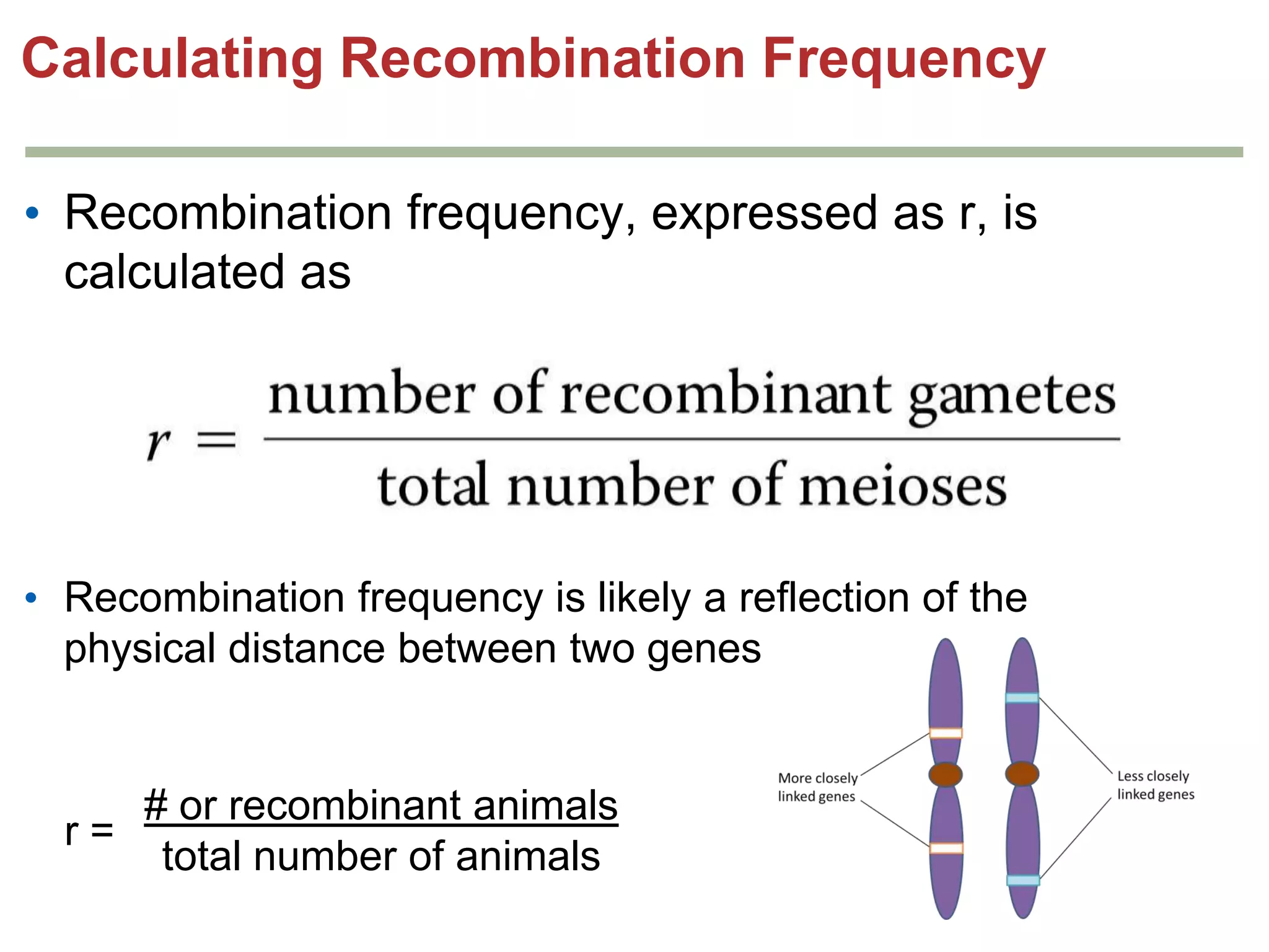 Calculating Recombination Frequency
• Recombination frequency, expressed as r, is
calculated as

• Recombination frequency is likely a reflection of the
physical distance between two genes

r=

# or recombinant animals
total number of animals

 