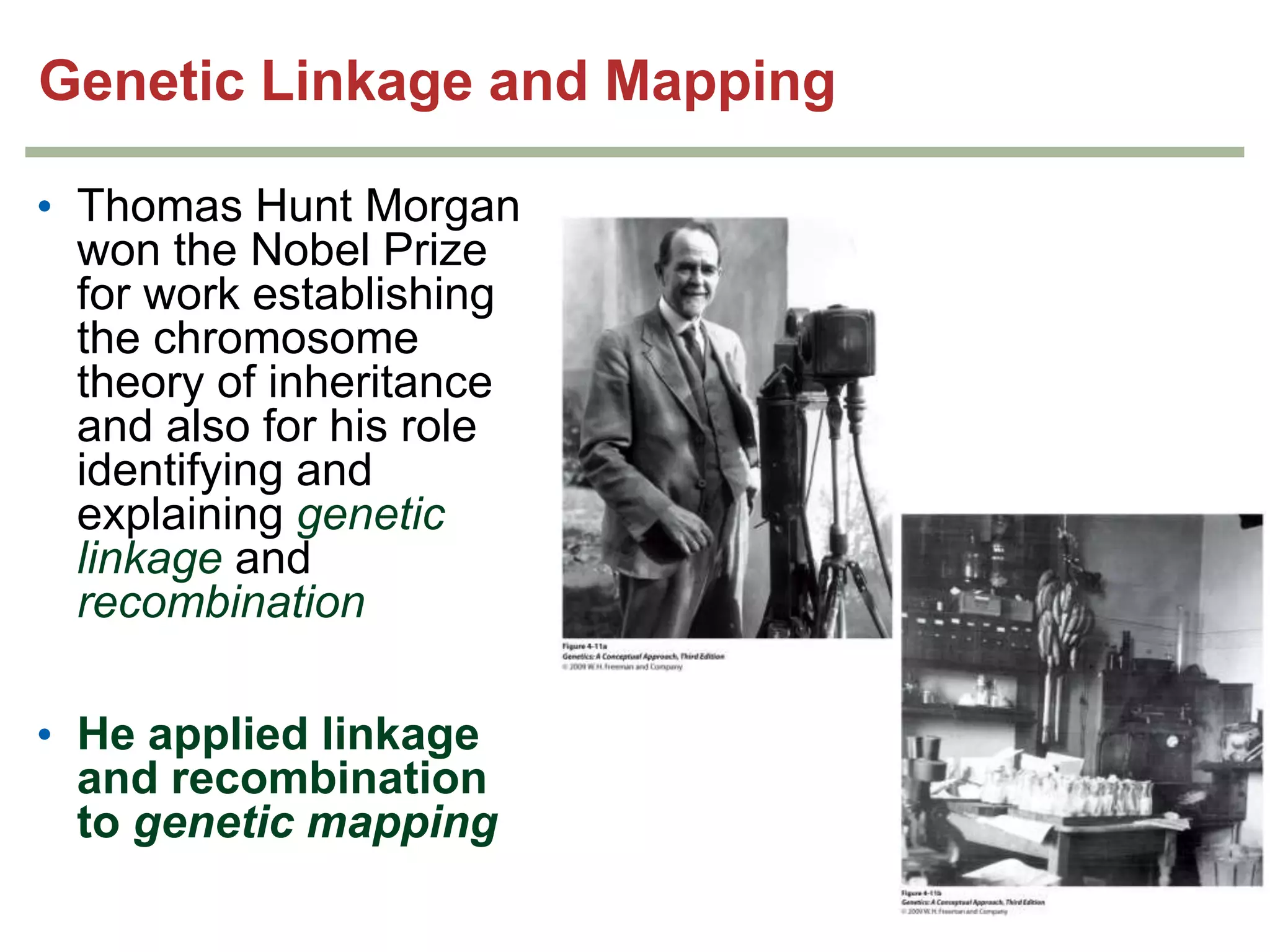 Genetic Linkage and Mapping
• Thomas Hunt Morgan
won the Nobel Prize
for work establishing
the chromosome
theory of inheritance
and also for his role
identifying and
explaining genetic
linkage and
recombination
• He applied linkage
and recombination
to genetic mapping
3

 