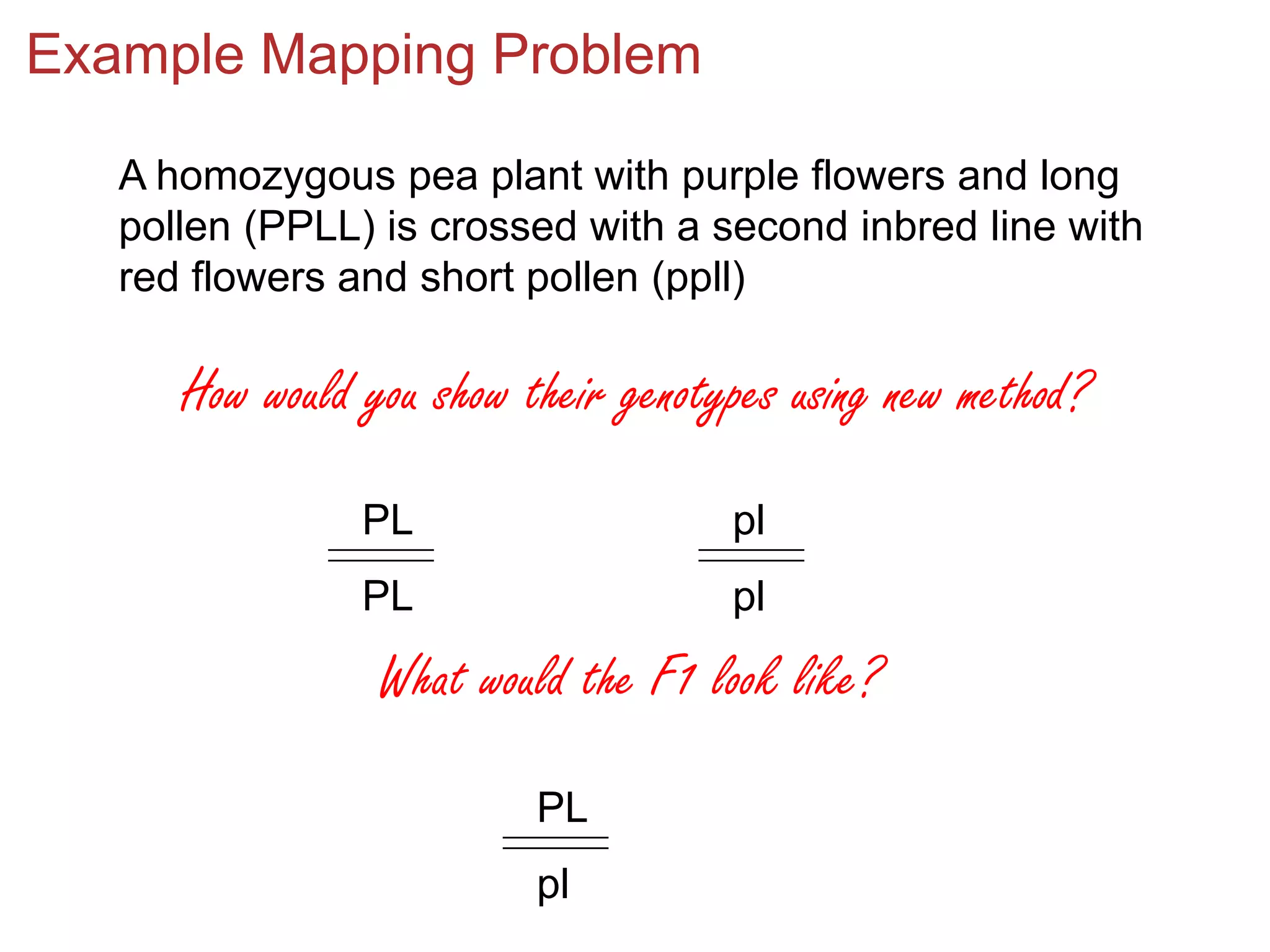 Example Mapping Problem
A homozygous pea plant with purple flowers and long
pollen (PPLL) is crossed with a second inbred line with
red flowers and short pollen (ppll)

How would you show their genotypes using new method?
PL

pl

PL

pl

What would the F1 look like?
PL
pl

 