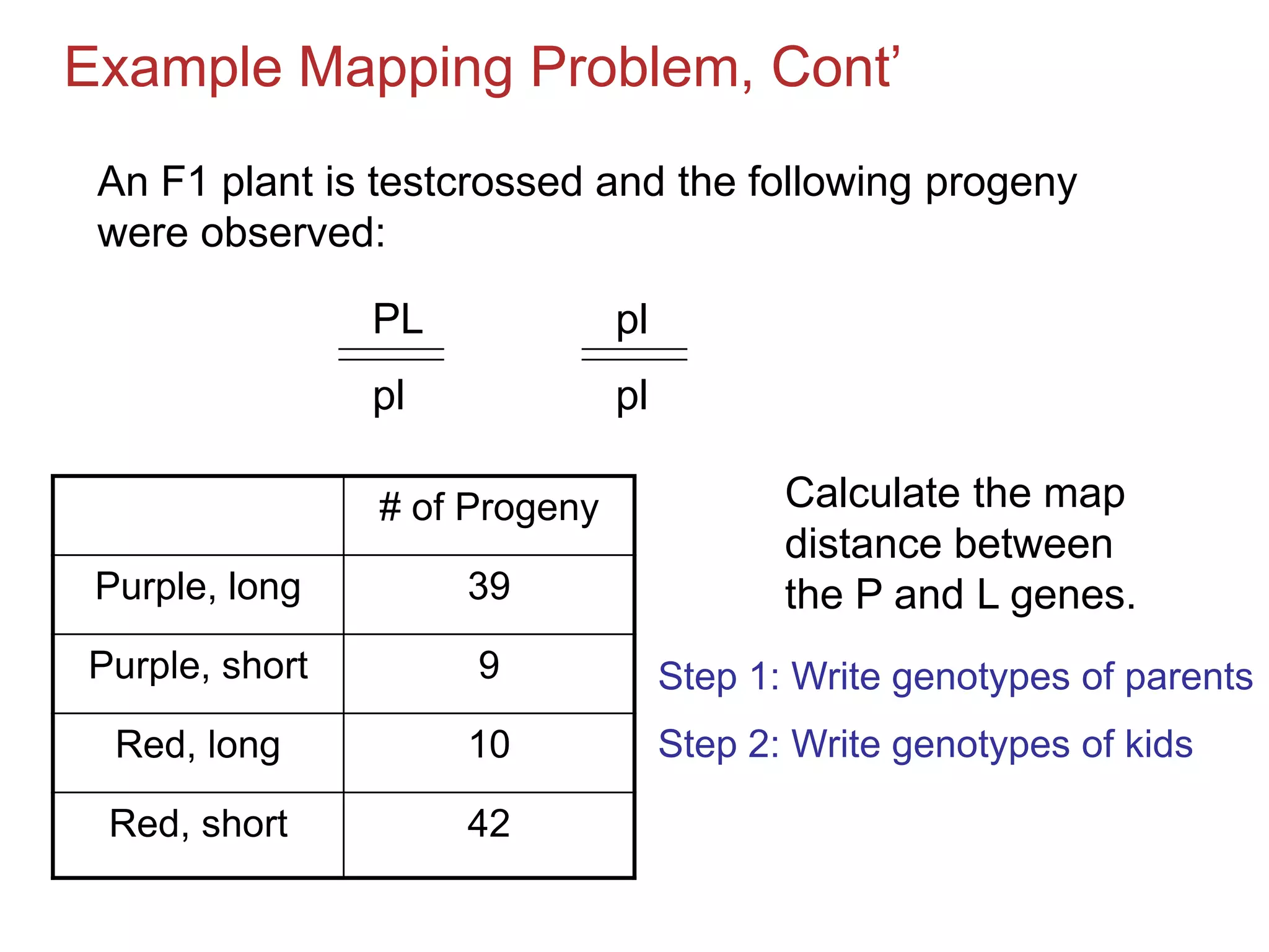 Example Mapping Problem, Cont’
An F1 plant is testcrossed and the following progeny
were observed:

PL

pl

pl

pl

Purple, long

39

Calculate the map
distance between
the P and L genes.

Purple, short

9

Step 1: Write genotypes of parents

Red, long

10

Step 2: Write genotypes of kids

Red, short

42

# of Progeny

 