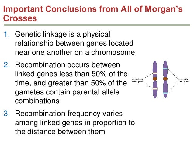 gene mapping problems