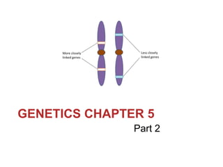 GENETICS CHAPTER 5
Part 2

 