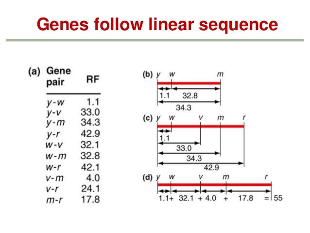 genetics chapter 5 part 2 1 gene mapping problems