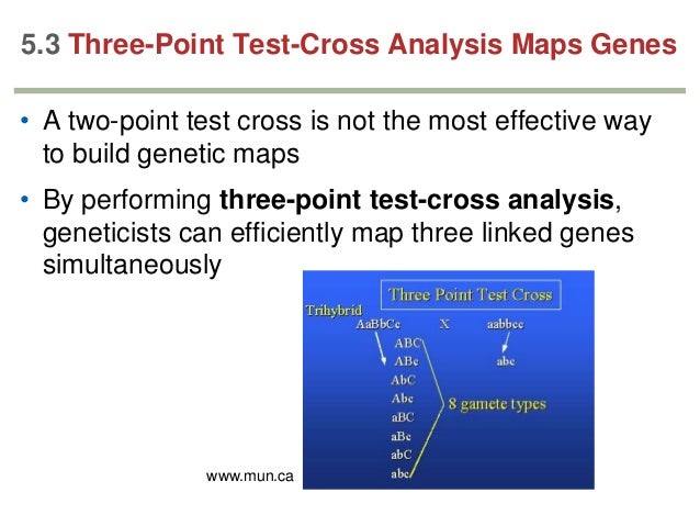 Two point test cross pdf to jpg