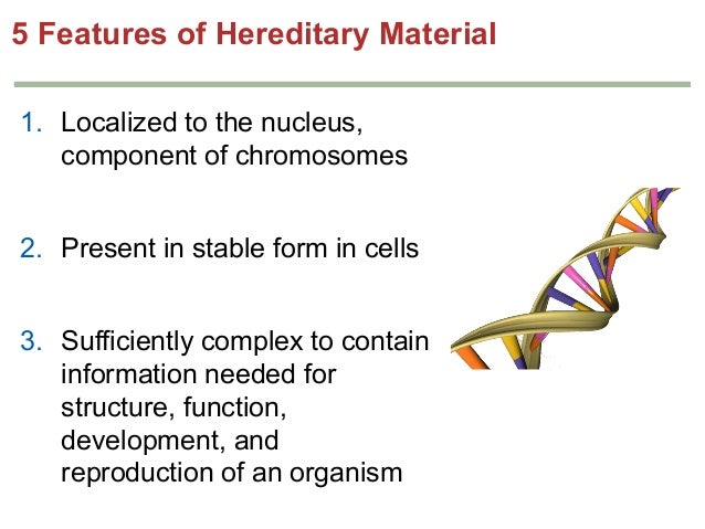 chapter 12 dna structure and replication Chapter 12 - dna structure & replication history of dna 1869 miescher analyzed the contents of the nucleus & discovered a substance (containing nitrogen. chapter 12 dna structure and replication Chapter 12 - dna structure & replication history of dna 1869 miescher analyzed the contents of the nucleus & discovered a substance (containing nitrogen.