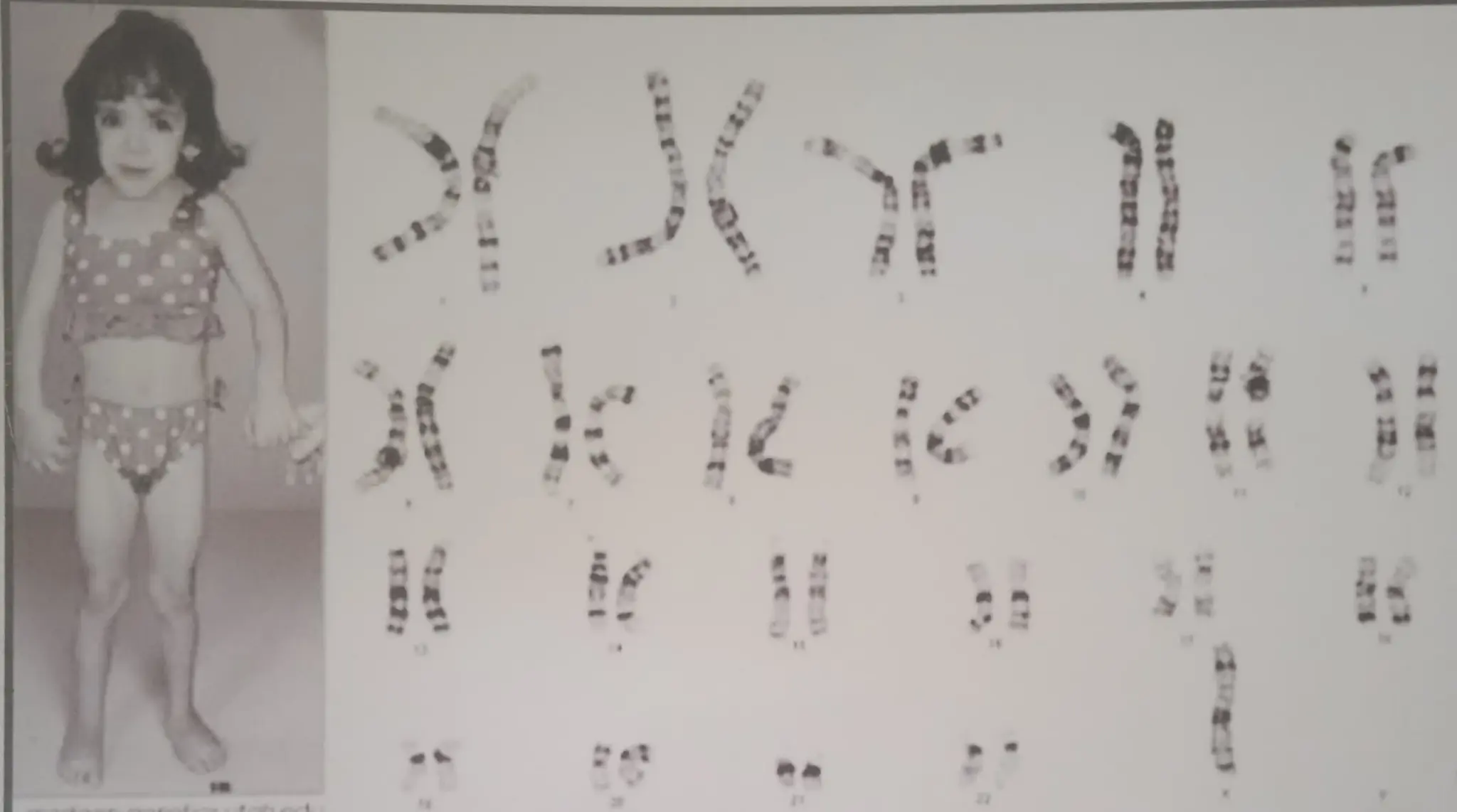 chart.pdfjdnskskzoxoxdikdkslszo PDF