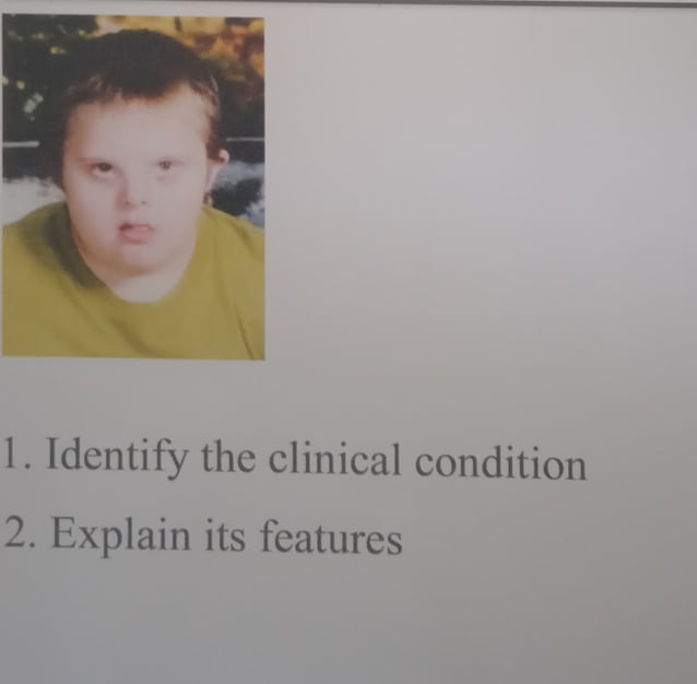 chart.pdfjdnskskzoxoxdikdkslszo PDF