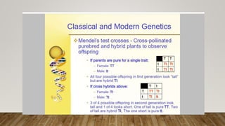 Genetics, classicle and moddern | PPTX