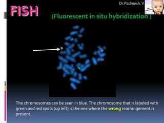 Dr.Padmesh. V


                  (Fluorescent in situ hybridization )




The chromosomes can be seen in blue. The chromosome that is labeled with
green and red spots (up left) is the one where the wrong rearrangement is
present.
 