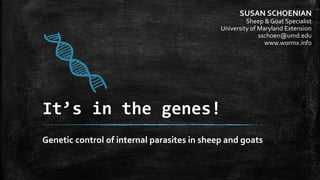 It’s in the genes!
Genetic control of internal parasites in sheep and goats
SUSAN SCHOENIAN
Sheep & Goat Specialist
University of Maryland Extension
sschoen@umd.edu
www.wormx.info
 