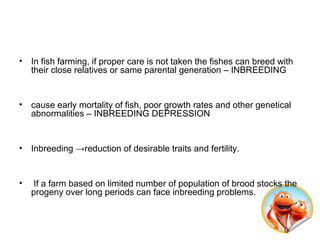 Fish Inbreeding Genetic selection & hybridization kashmeera | PPT