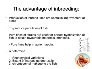 Pure Line Vs Inbred Line Genetic selection & hybridization kashmeera | PPT