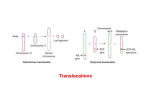 Variant Rara Translocations Genetic Series Chromosomal Aberrations.pptx