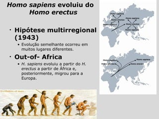 Homo sapiens evoluiu do
Homo erectus
• Hipótese multirregional
(1943)
• Evolução semelhante ocorreu em
muitos lugares diferentes.
• Out-of- Africa
• H. sapiens evoluiu a partir do H.
erectus a partir de África e,
posteriormente, migrou para a
Europa.
 