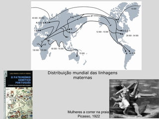 Distribuição mundial das linhagens
maternas
Mulheres a correr na praia,
Picasso, 1922
 