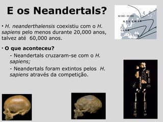 • H. neanderthalensis coexistiu com o H.
sapiens pelo menos durante 20,000 anos,
talvez até 60,000 anos.
• O que aconteceu?
- Neandertals cruzaram-se com o H.
sapiens;
- Neandertals foram extintos pelos H.
sapiens através da competição.
E os Neandertals?
 