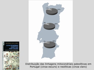 Distribuição das linhagens mitocondriais paleolíticas em
Portugal (cinza escuro) e neolíticas (cinza claro)
 