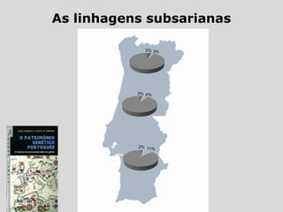 As linhagens subsarianas
 