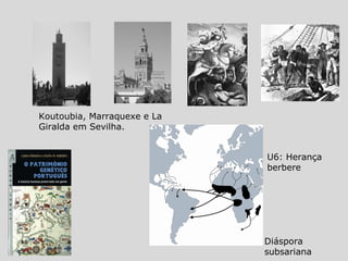 Koutoubia, Marraquexe e La
Giralda em Sevilha.
Diáspora
subsariana
U6: Herança
berbere
 