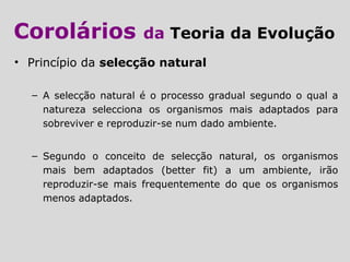 • Princípio da selecção natural
– A selecção natural é o processo gradual segundo o qual a
natureza selecciona os organismos mais adaptados para
sobreviver e reproduzir-se num dado ambiente.
– Segundo o conceito de selecção natural, os organismos
mais bem adaptados (better fit) a um ambiente, irão
reproduzir-se mais frequentemente do que os organismos
menos adaptados.
Corolários da Teoria da Evolução
 