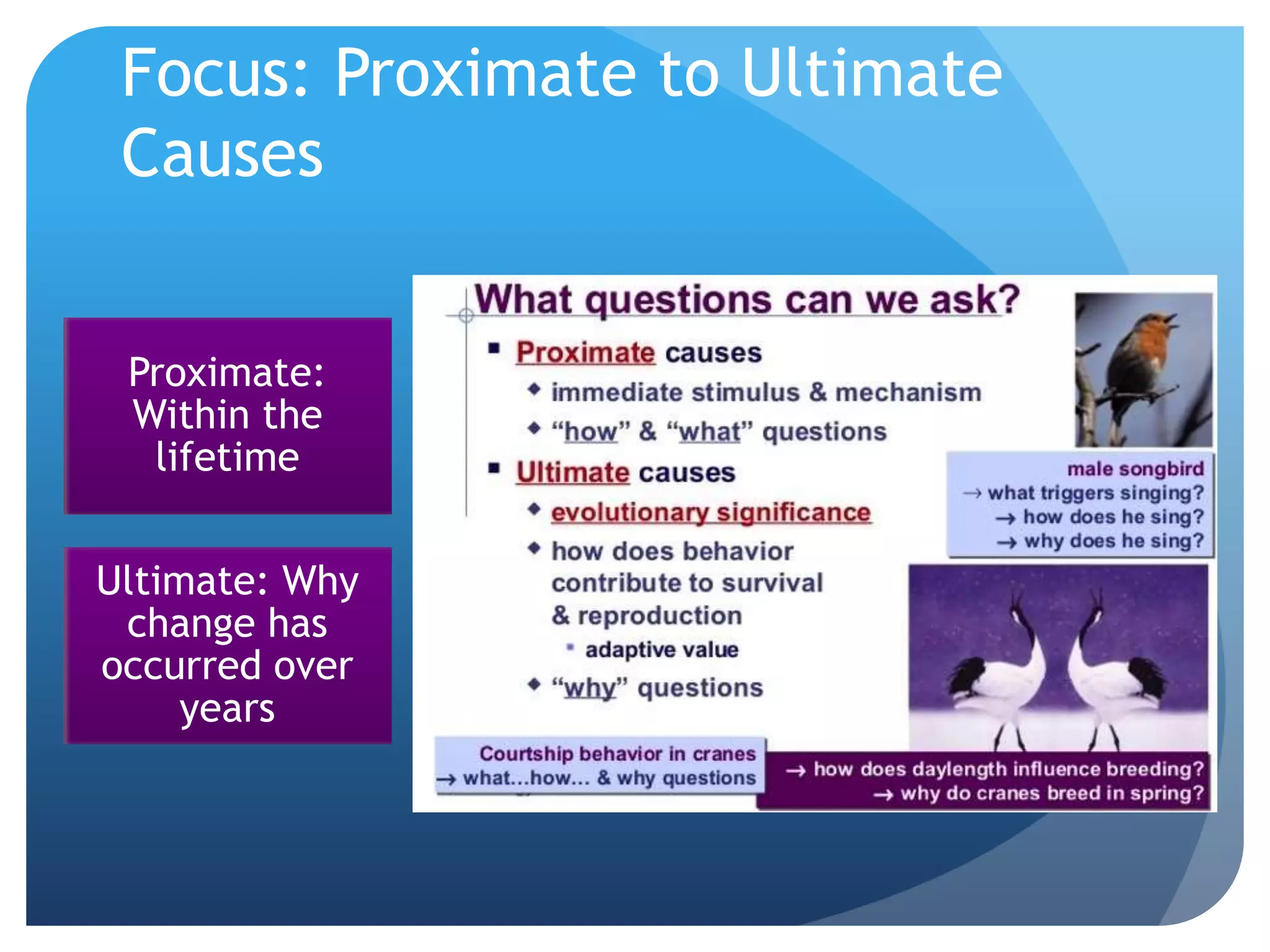 Focus: Proximate to Ultimate
Causes
Proximate:
Within the
lifetime
Ultimate: Why
change has
occurred over
years
 