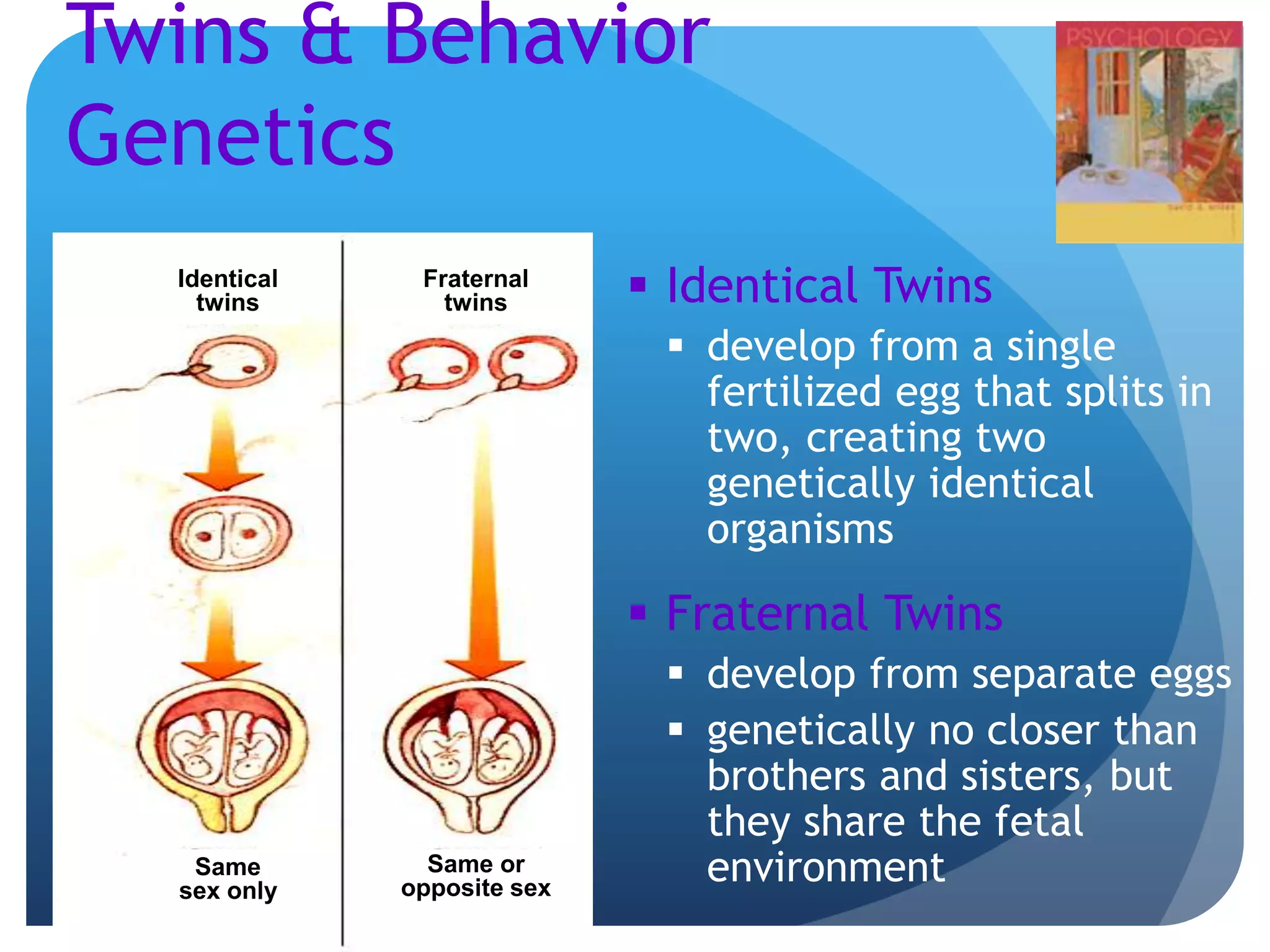 Twins & Behavior
Genetics
 Identical Twins
 develop from a single
fertilized egg that splits in
two, creating two
genetically identical
organisms
 Fraternal Twins
 develop from separate eggs
 genetically no closer than
brothers and sisters, but
they share the fetal
environment
Identical
twins
Fraternal
twins
Same
sex only
Same or
opposite sex
 