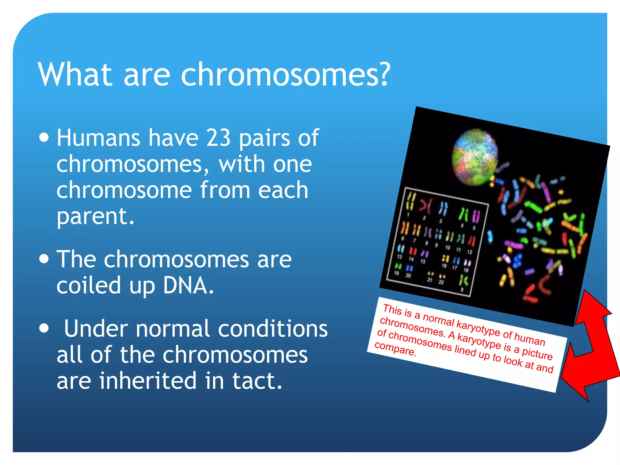 What are chromosomes?
 Humans have 23 pairs of
chromosomes, with one
chromosome from each
parent.
 The chromosomes are
coiled up DNA.
 Under normal conditions
all of the chromosomes
are inherited in tact.
 