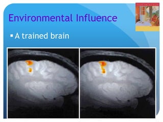 Environmental Influence
 A trained brain
 