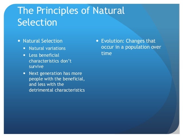 Natural Selection Fallacy Natural Selection Fallacy