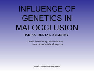 INFLUENCE OF
GENETICS IN
MALOCCLUSION
INDIAN DENTAL ACADEMY
Leader in continuing dental education
www.indiandentalacademy.com
www.indiandentalacademy.com
 
