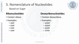 Biochemistry of Genetics - Nucleotides, purines, pyrimidines, DNA & RNA ...