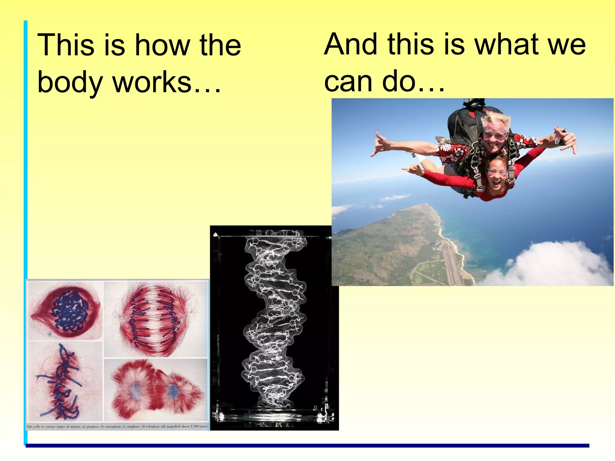 This is how the
body works…
And this is what we
can do…
 