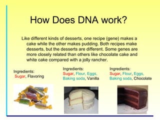 Genetics Cake Genetics for kids | PPT