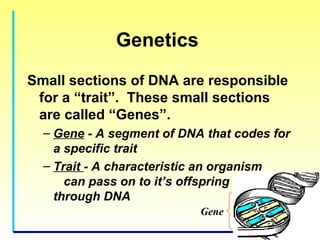 Genetics for kids | PPT
