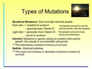 Genetics for kids | PPT