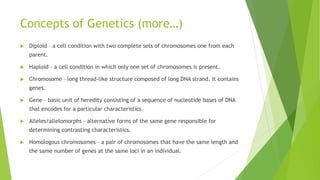 Concepts of Genetics (more…)
 Diploid – a cell condition with two complete sets of chromosomes one from each
parent.
 Haploid – a cell condition in which only one set of chromosomes is present.
 Chromosome – long thread-like structure composed of long DNA strand. It contains
genes.
 Gene – basic unit of heredity consisting of a sequence of nucleotide bases of DNA
that encodes for a particular characteristics.
 Alleles/allelomorphs – alternative forms of the same gene responsible for
determining contrasting characteristics.
 Homologous chromosomes – a pair of chromosomes that have the same length and
the same number of genes at the same loci in an individual.
 