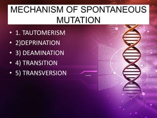 Transmutationism Genetics for nurses inheritance | PPTX