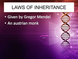 Genetics for nurses inheritance | PPTX