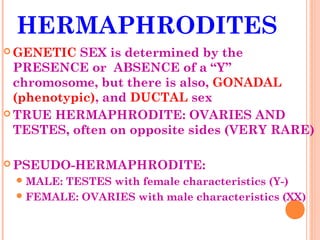 HERMAPHRODITES
 GENETIC  SEX is determined by the
  PRESENCE or ABSENCE of a “Y”
  chromosome, but there is also, GONADAL
  (phenotypic), and DUCTAL sex
 TRUE HERMAPHRODITE: OVARIES AND
  TESTES, often on opposite sides (VERY RARE)

 PSEUDO-HERMAPHRODITE:
  MALE:TESTES with female characteristics (Y-)
  FEMALE: OVARIES with male characteristics (XX)
 