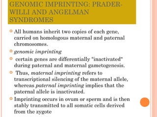 GENOMIC IMPRINTING: PRADER-
WILLI AND ANGELMAN
SYNDROMES
 All humans inherit two copies of each gene,
  carried on homologous maternal and paternal
  chromosomes.
 genomic imprinting

 certain genes are differentially "inactivated"
  during paternal and maternal gametogenesis.
 Thus, maternal imprinting refers to
  transcriptional silencing of the maternal allele,
  whereas paternal imprinting implies that the
  paternal allele is inactivated.
 Imprinting occurs in ovum or sperm and is then
  stably transmitted to all somatic cells derived
  from the zygote
 