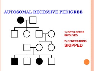 AUTOSOMAL RECESSIVE PEDIGREE



                     1) BOTH SEXES
                     INVOLVED

                     2) GENERATIONS
                     SKIPPED
 