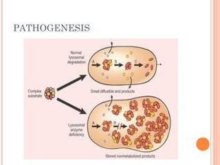 PATHOGENESIS
 