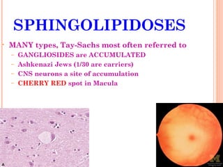 SPHINGOLIPIDOSES
•   MANY types, Tay-Sachs most often referred to
    – GANGLIOSIDES are ACCUMULATED
    – Ashkenazi Jews (1/30 are carriers)
    – CNS neurons a site of accumulation
    – CHERRY RED spot in Macula
 