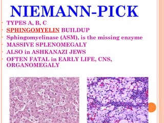 NIEMANN-PICK
•   TYPES A, B, C
•   SPHINGOMYELIN BUILDUP
•   Sphingomyelinase (ASM), is the missing enzyme
•   MASSIVE SPLENOMEGALY
•   ALSO in ASHKANAZI JEWS
•   OFTEN FATAL in EARLY LIFE, CNS,
    ORGANOMEGALY
 