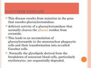 GAUCHER DISEASE
 This disease results from mutation in the gene
  that encodes glucosylceramidase.
 deficient activity of a glucosylceramidase that
  normally cleaves the glucose residue from
  ceramide.
 This leads to an accumulation of
  glucosylceramide in the mononuclear phagocytic
  cells and their transformation into so-called
  Gaucher cells.
 Normally the glycolipids derived from the
  breakdown of senescent blood cells, particularly
  erythrocytes, are sequentially degraded.
 