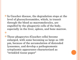    In Gaucher disease, the degradation stops at the
    level of glucosylceramides, which, in transit
    through the blood as macromolecules, are
    engulfed by the phagocytic cells of the body,
    especially in the liver, spleen, and bone marrow.


   These phagocytes (Gaucher cells) become
    enlarged, with some becoming as large as 100
    μm, because of the accumulation of distended
    lysosomes, and develop a pathognomonic
    cytoplasmic appearance characterized as
    "wrinkled tissue paper"
 