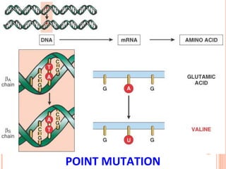 POINT MUTATION
 