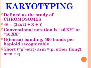 KARYOTYPING
 Defined  as the study of
  CHROMOSOMES
 46 = (22x2) + X + Y
 Conventional notation is “46,XY” or
  “46,XX”
 G(iemsa)-banding, 500 bands per
  haploid recognizable
 Short (“p”-etit) arm = p, other (long)
  arm = q
 