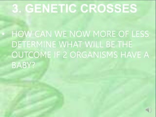 3. GENETIC CROSSES
• HOW CAN WE NOW MORE OF LESS
DETERMINE WHAT WILL BE THE
OUTCOME IF 2 ORGANISMS HAVE A
BABY?
 