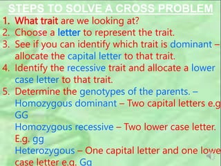 STEPS TO SOLVE A CROSS PROBLEM
1. What trait are we looking at?
2. Choose a letter to represent the trait.
3. See if you can identify which trait is dominant –
allocate the capital letter to that trait.
4. Identify the recessive trait and allocate a lower
case letter to that trait.
5. Determine the genotypes of the parents. –
Homozygous dominant – Two capital letters e.g.
GG
Homozygous recessive – Two lower case letter.
E.g. gg
Heterozygous – One capital letter and one lower
case letter e.g. Gg
 